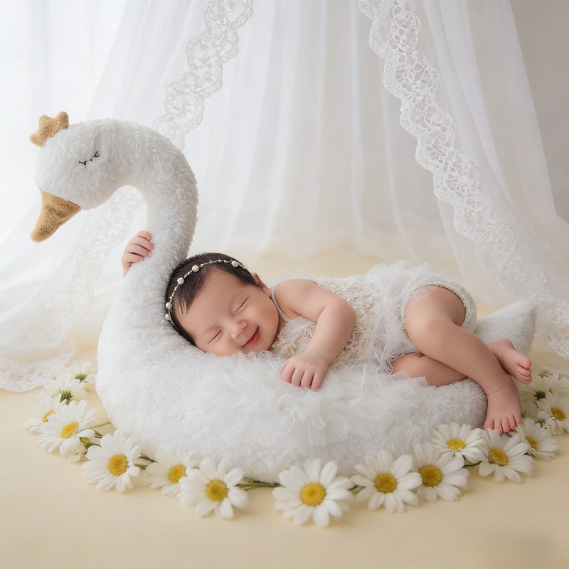 Newborn Photography Prop Swan  - đánh giá và giá Photography Of The Day