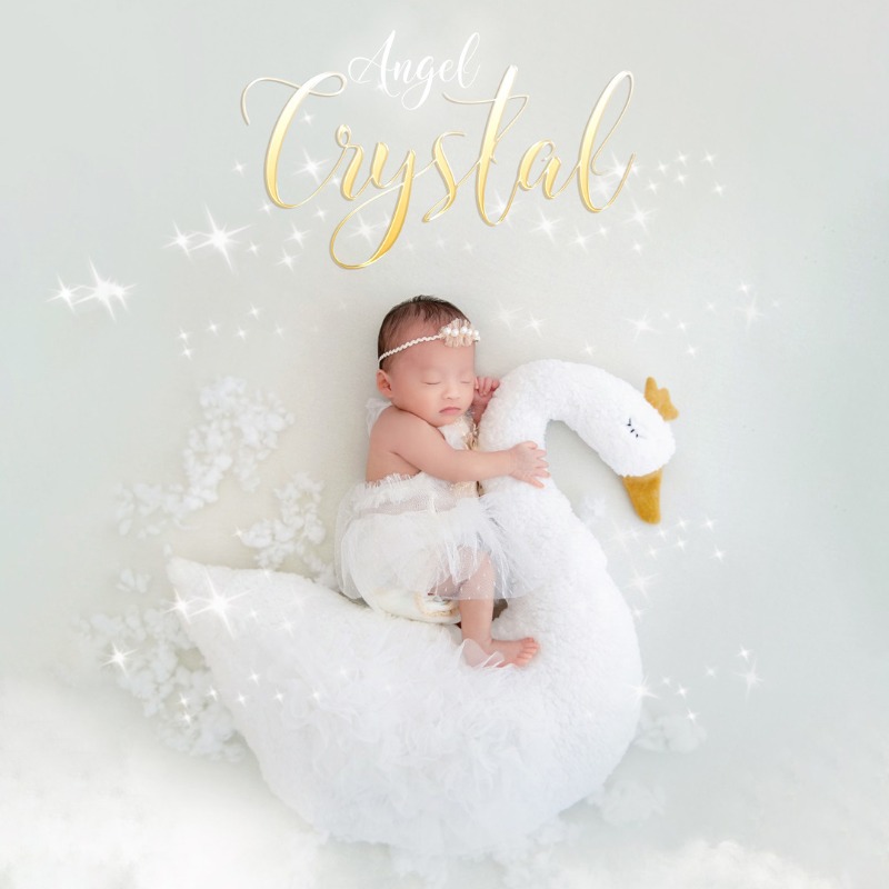 Newborn Photography Prop Swan  - đánh giá và giá Photography Of The Day
