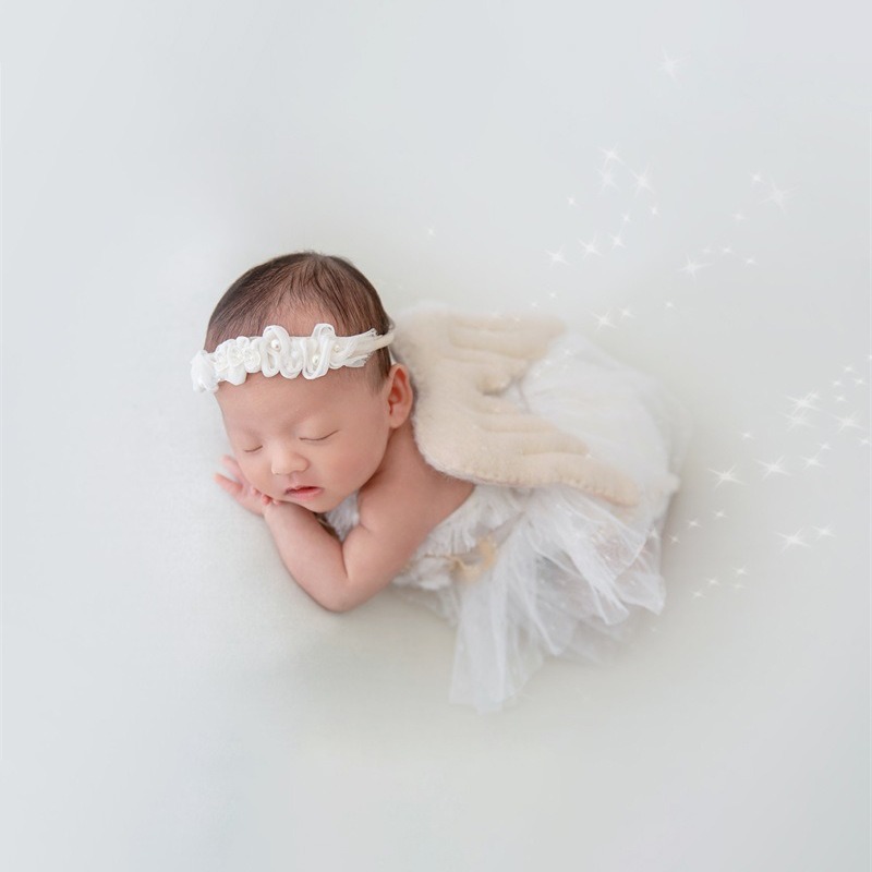 Newborn Photography Prop Swan  - đánh giá và giá Photography Of The Day