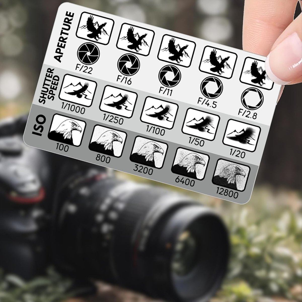 L77A 2Pcs DSLR Photography Com - đánh giá và giá Photography Triangle