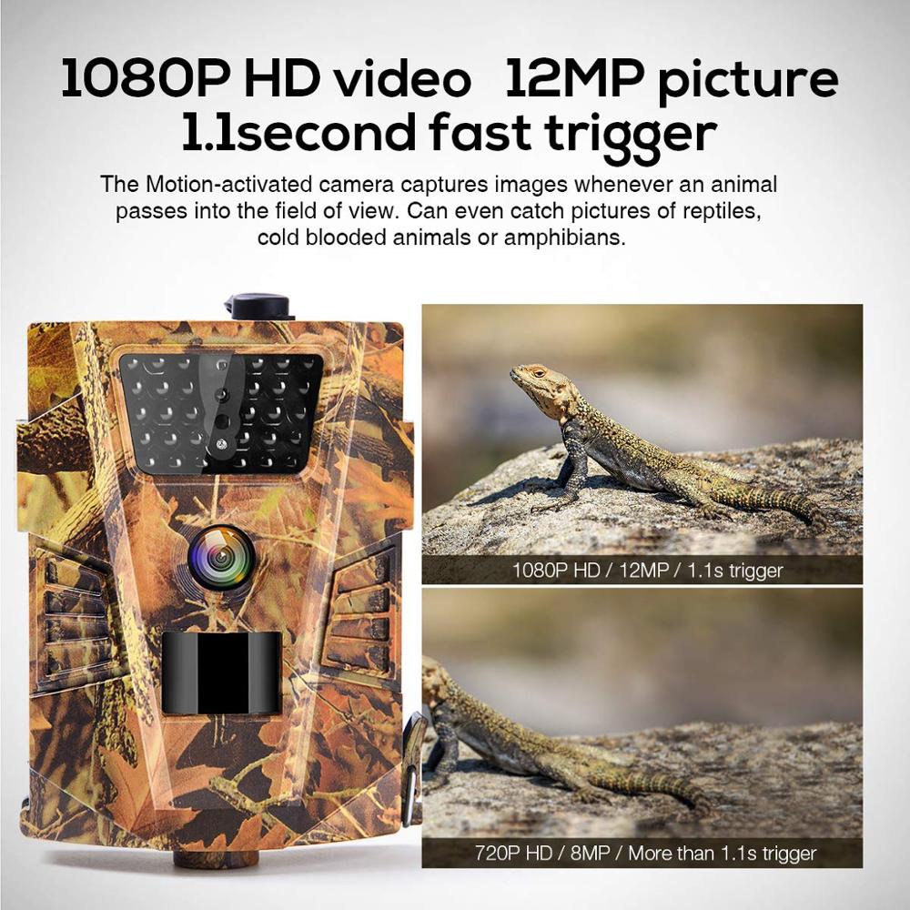 12MP Săn Đường Mòn Camera Hoan - đánh giá và giá Photography Term