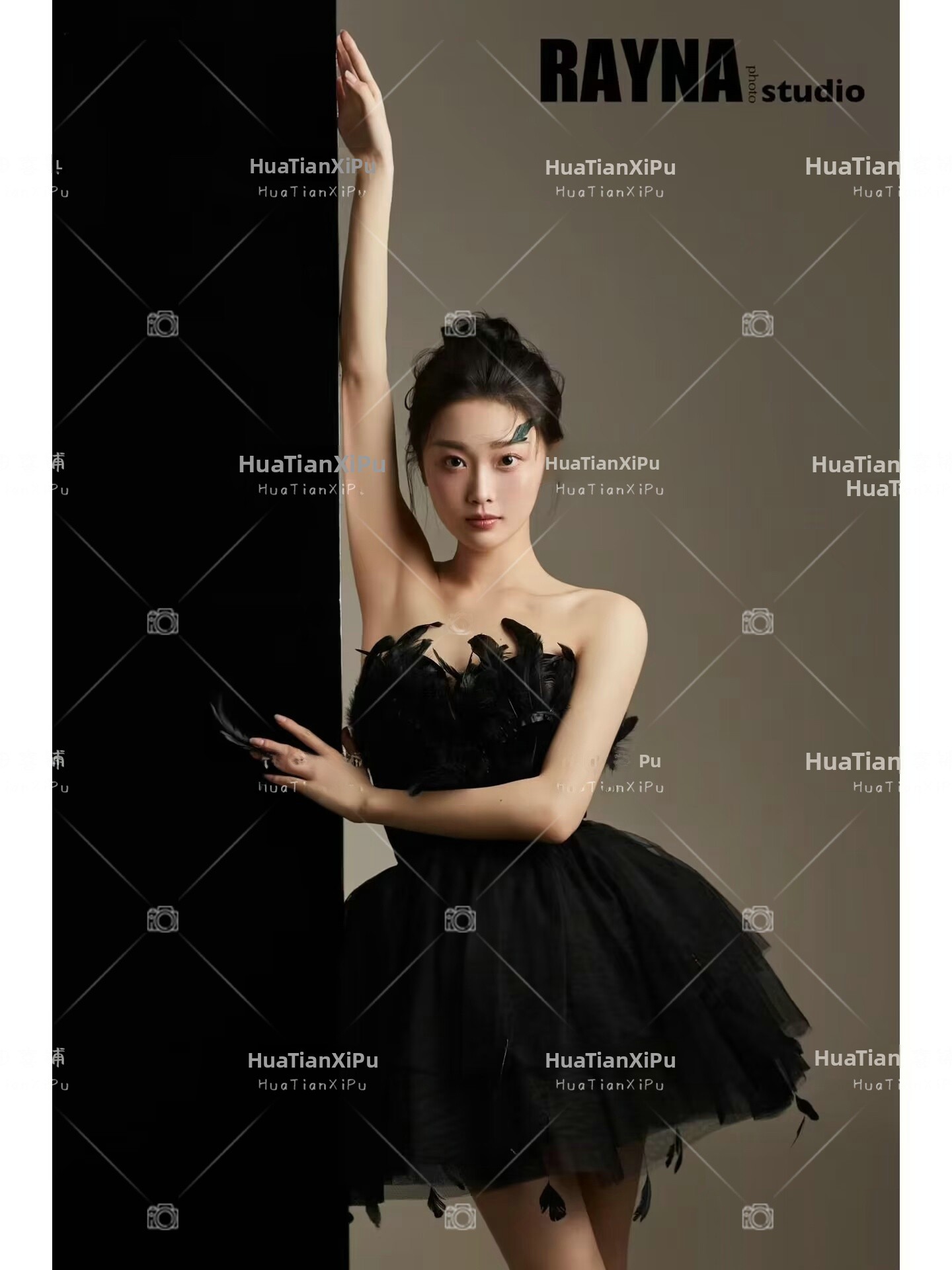 New Arrival Elegant Black Swan - đánh giá và giá Photography Studio