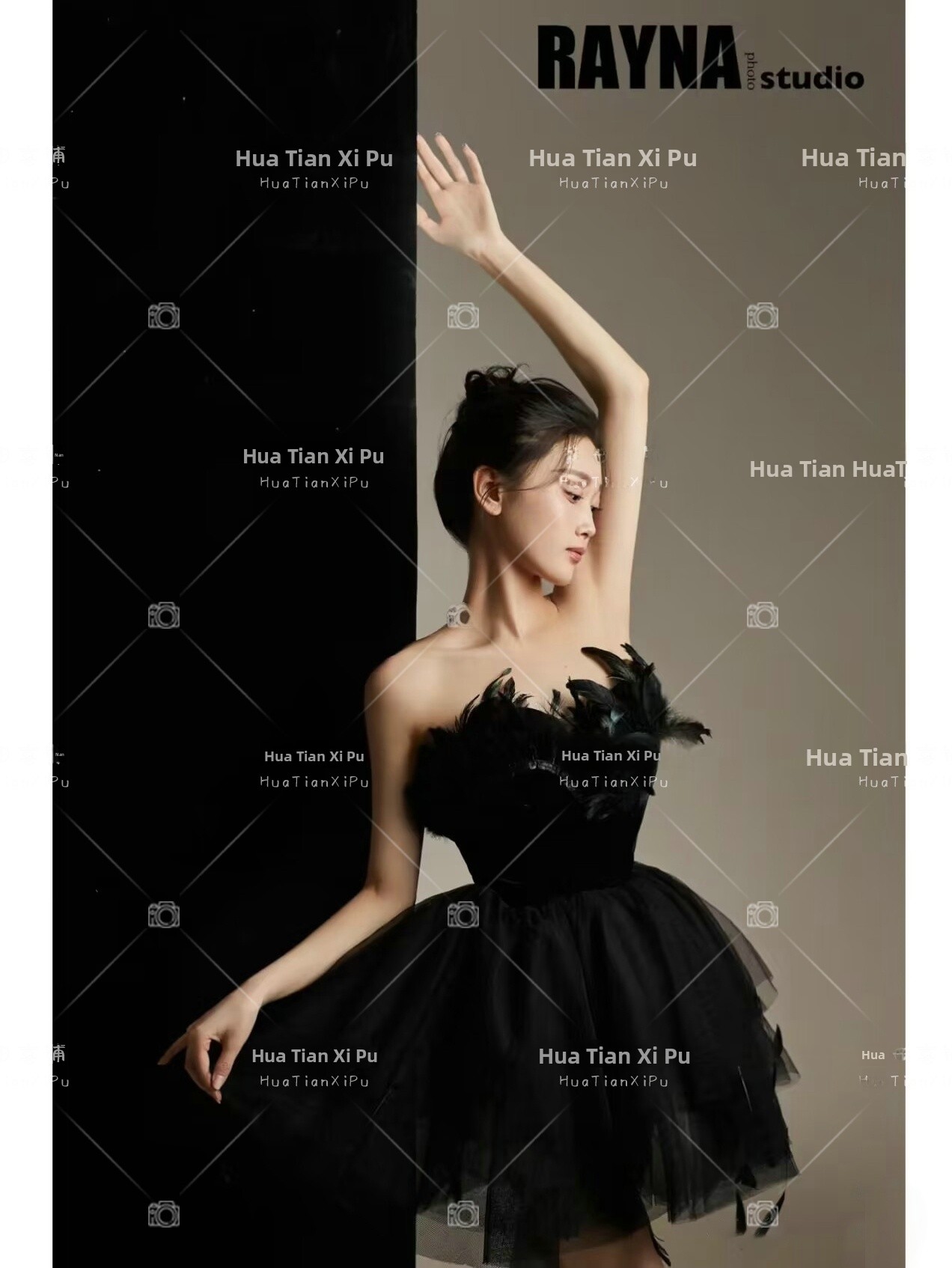 New Arrival Elegant Black Swan - đánh giá và giá Photography Studio