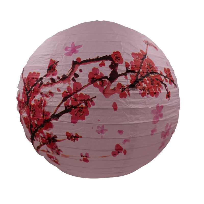 30cm Printed Paper Chinese Sty - đánh giá và giá Photography Of The Day