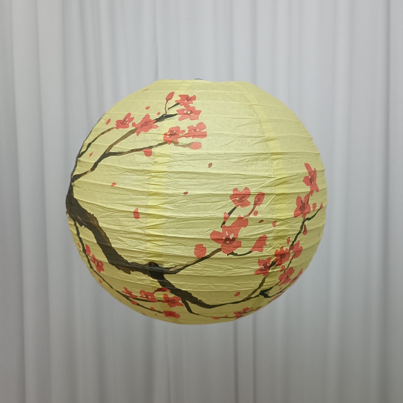 30cm Printed Paper Chinese Sty - đánh giá và giá Photography Of The Day