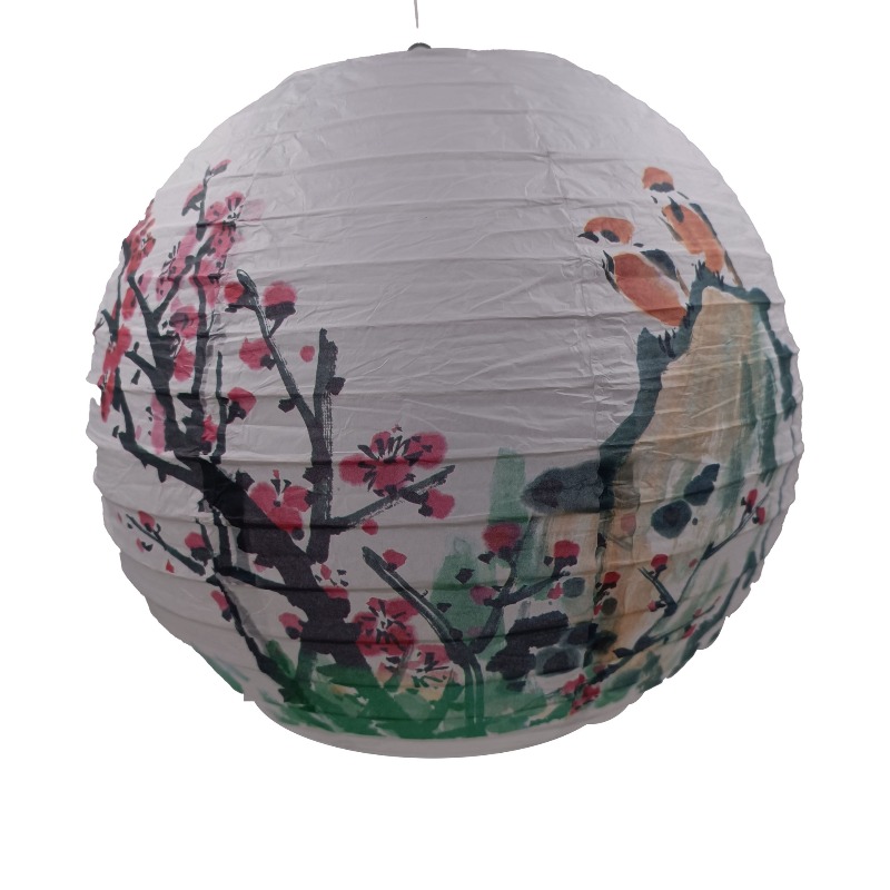 30cm Printed Paper Chinese Sty - đánh giá và giá Photography Of The Day